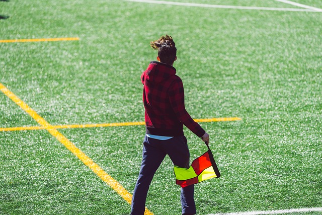 此得以迅速 此得以迅速