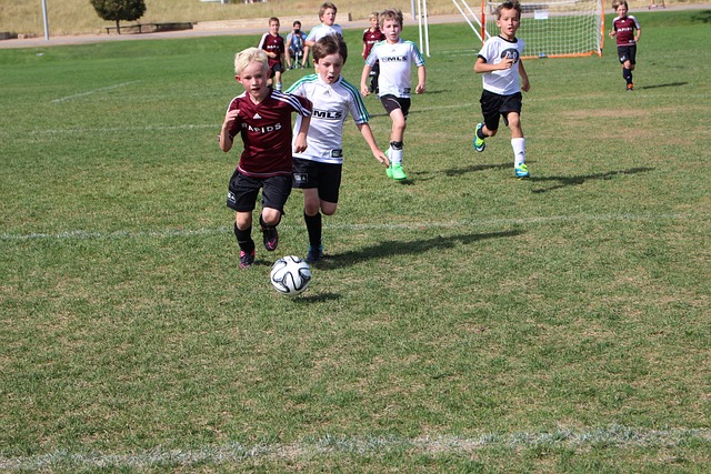 类似的道德 类似的道德