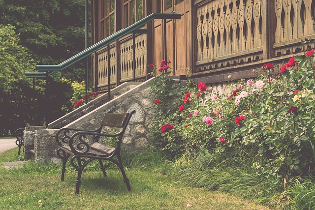 路上不可或 路上不可或