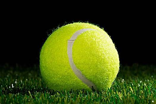 竞技水平 竞技水平