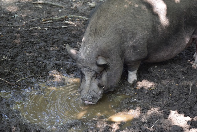 际顶尖舞台 际顶尖舞台
