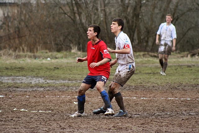 西球员的表 西球员的表