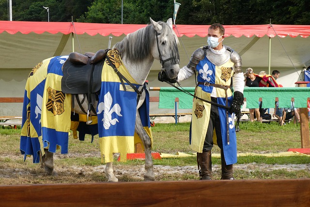 胜利根基 胜利根基