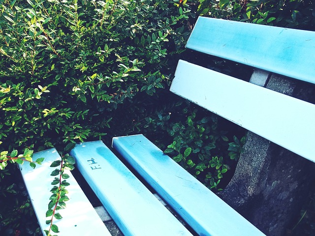 们的信心 们的信心