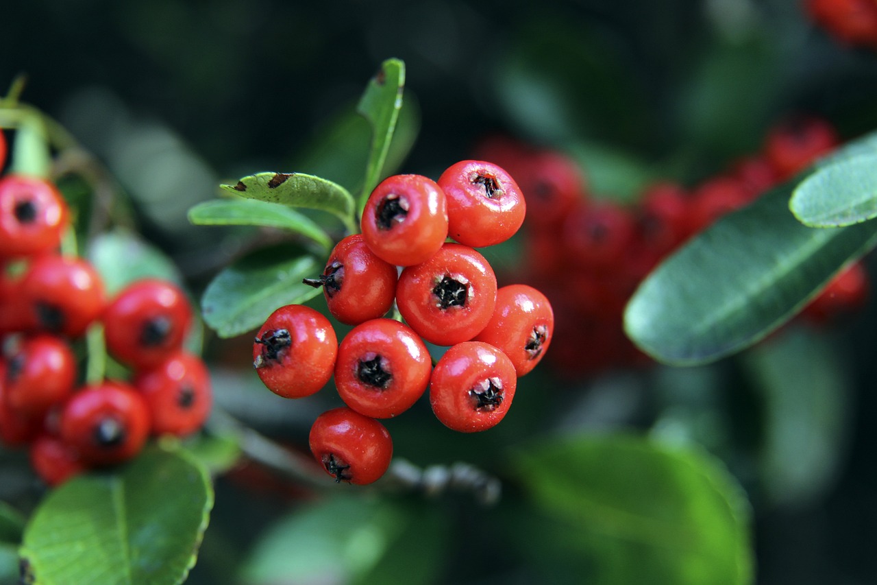 要的文化价 要的文化价